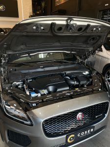 IMG_6174